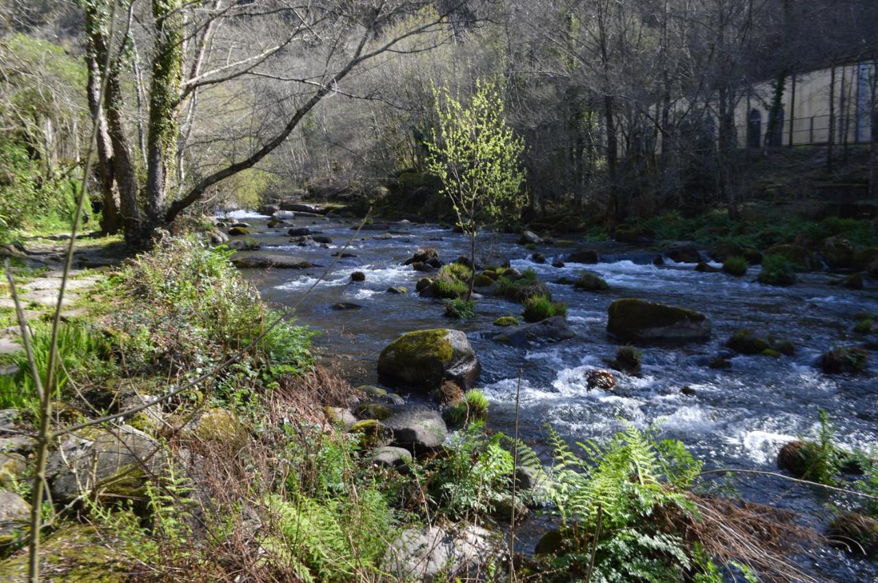Las Palmeras Caldas De Reis Exteriér fotografie