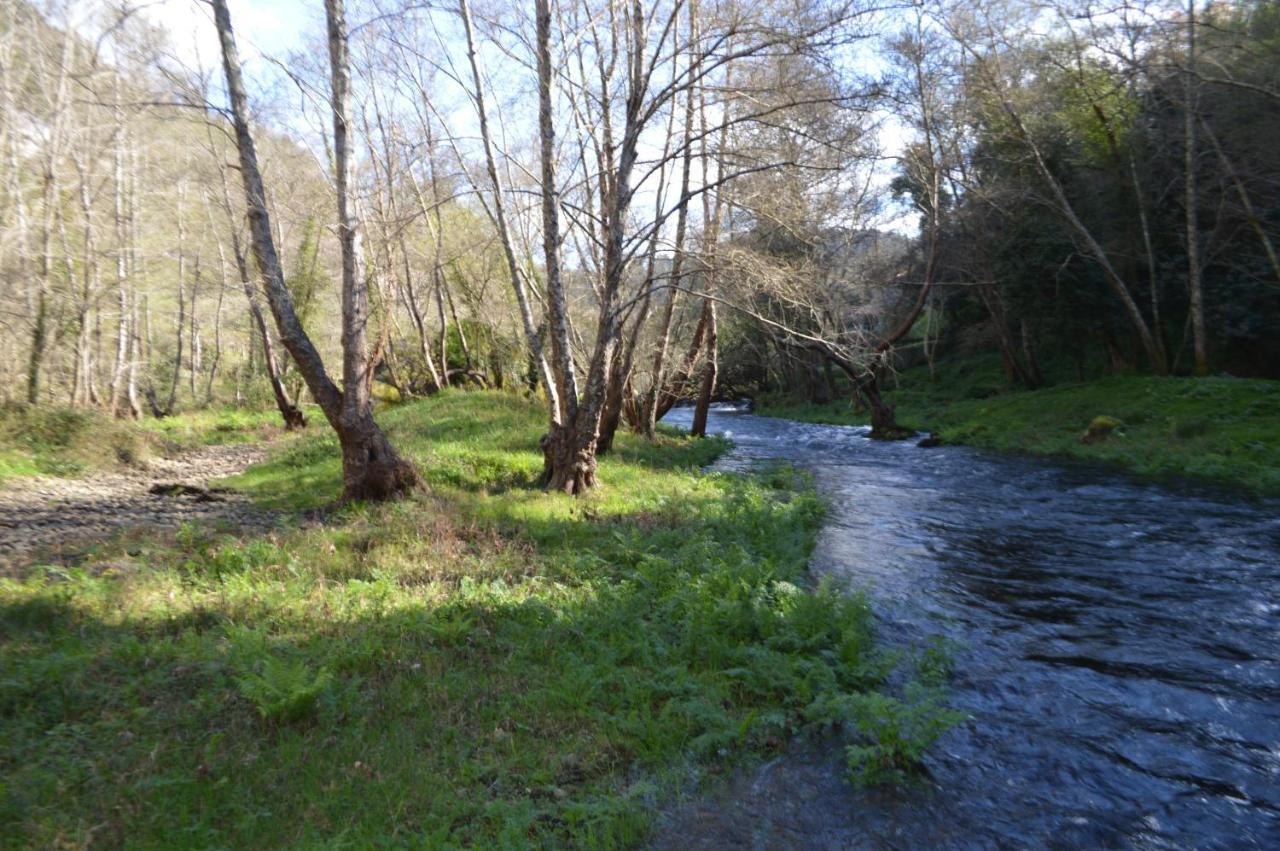 Las Palmeras Caldas De Reis Exteriér fotografie