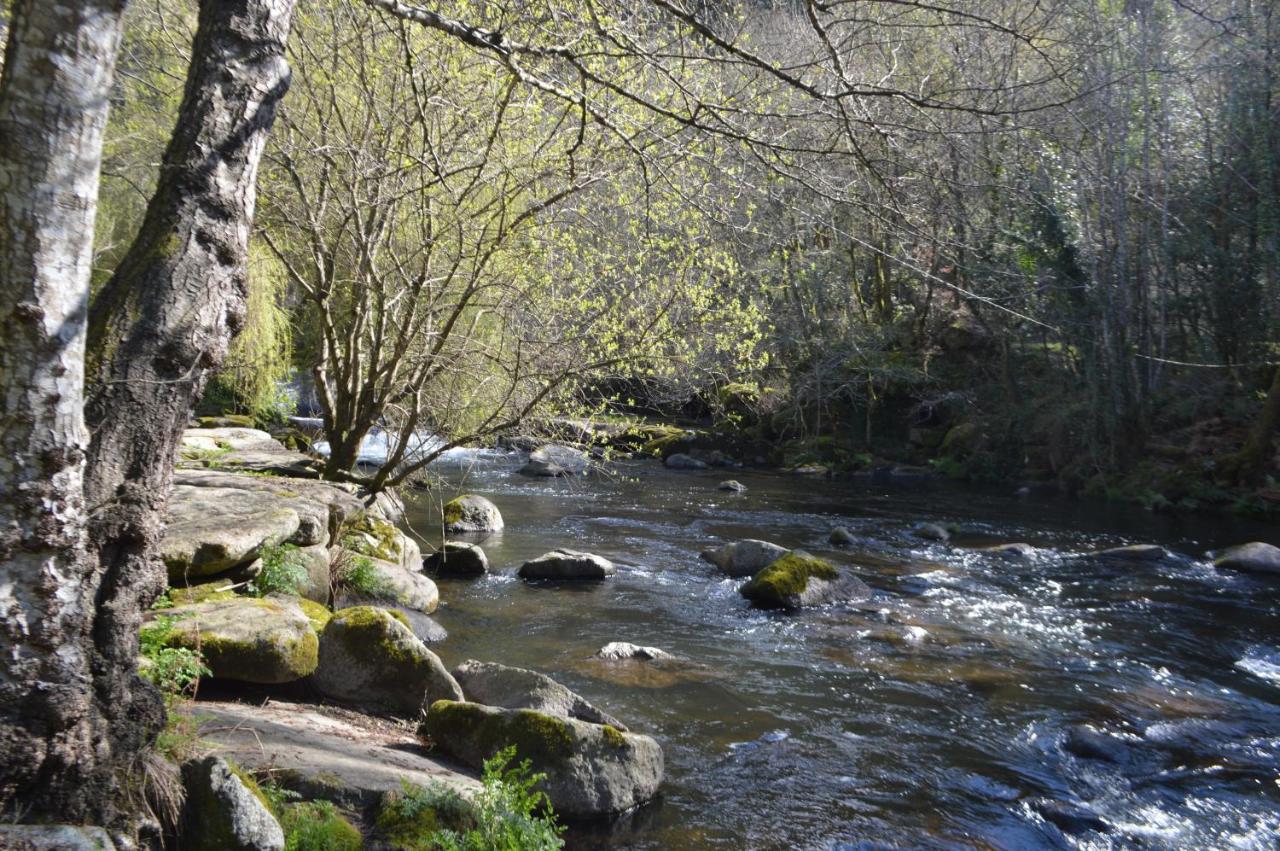 Las Palmeras Caldas De Reis Exteriér fotografie